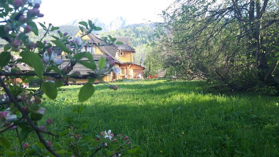 Kwatery Prywatne-Romanowka Zakopane Exterior photo